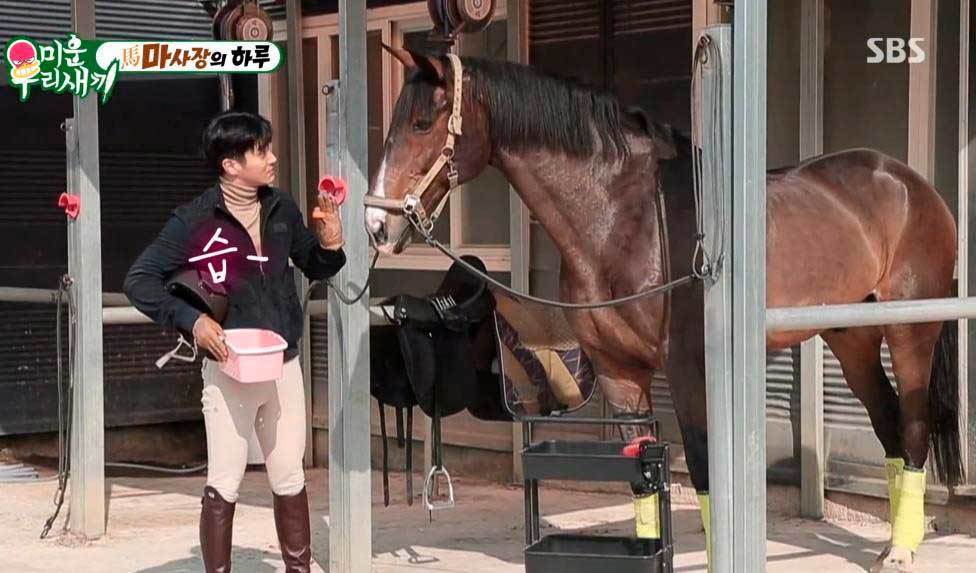 Шивон из Super Junior показал свои навыки общения с лошадью