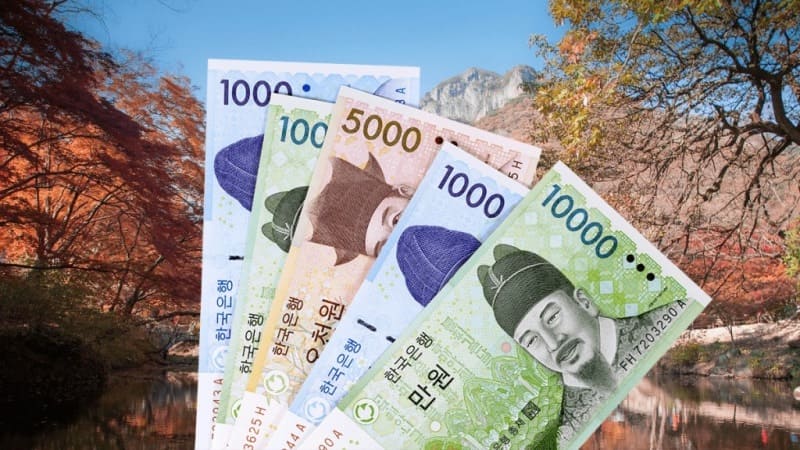 корейские банкноты деньги South Korea banknotes