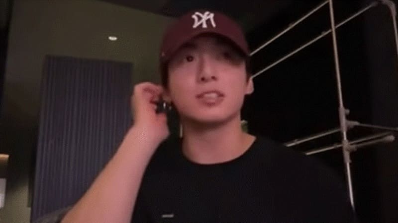 Этим летом задержаны две женщины, пытавшиеся проникнуть в дом Чонгука из BTS