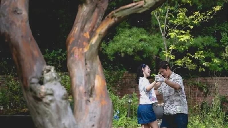 Пак Чхан Ук Так получилось Park Chan Wook No Other Choice 어쩔수가 없다