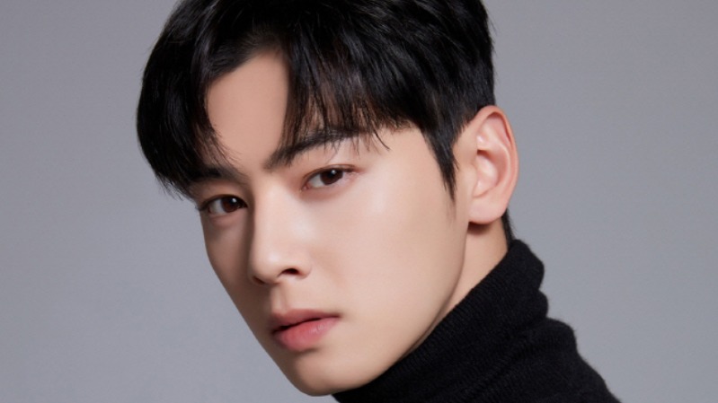 Чха Ын У нанял для защиты юридическую фирму «Седжон» Чха Ын У нанял для защиты юридическую фирму «Седжон»