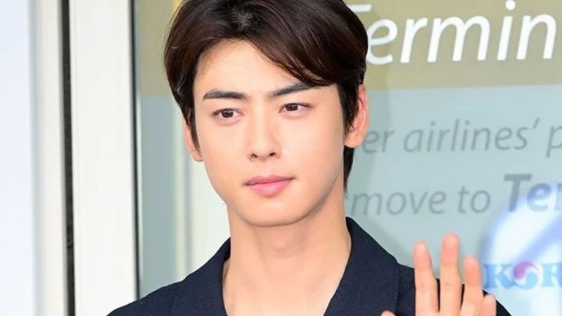 Компания матери Чха Ын У сменила место регистрации прямо в день ее проверки