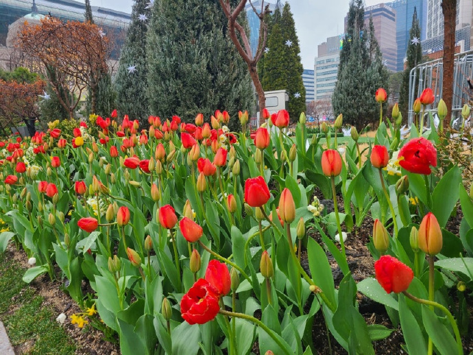 Камбэк BTS: тизеры