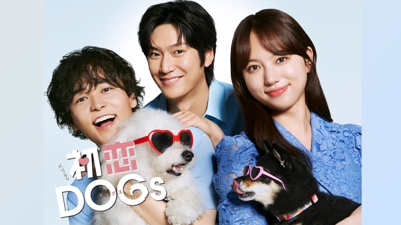Собачья любовь Dog한 로맨스 Hatsukoi DOGs SEVENTEEN Where Love Passed