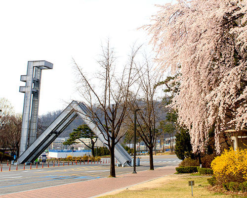 Сеульский университет отменяет специализацию при поступлении
